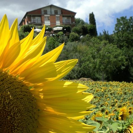 Hotel Sangallo B&B Montepulciano Exterior foto